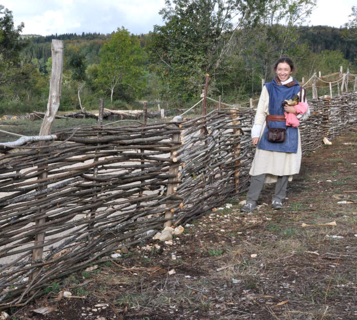 Plissage de noisetiers